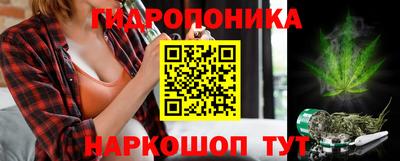 mdma Новозыбков