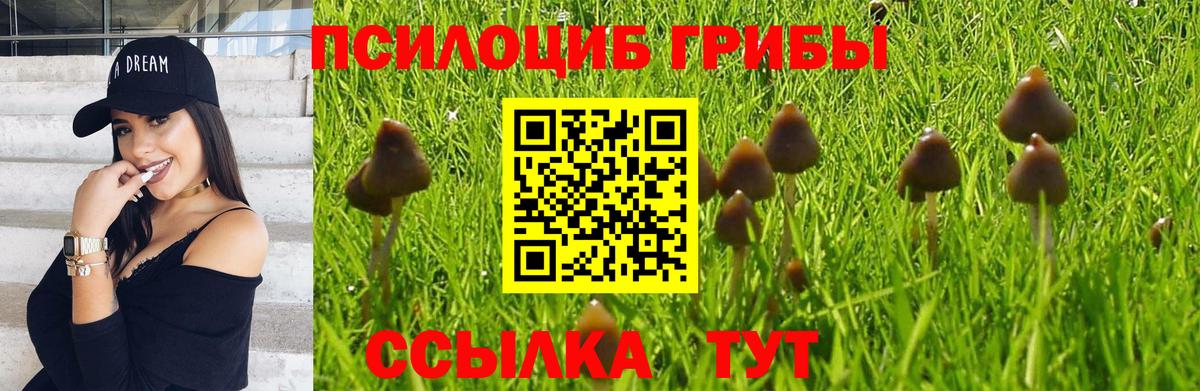 Галлюциногенные грибы Psilocybe  Вход с VPN  Псилоцибиновые грибы Magic Shrooms  Сертолово 